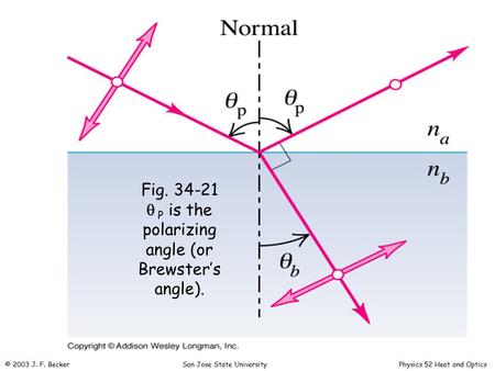 Fig. 34-21   P is the polarizing angle (or Brewster’s angle). © 2003 J. F. Becker San Jose State University Physics 52 Heat and Optics.