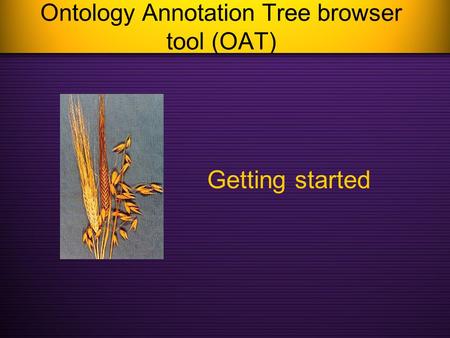 Ontology Annotation Tree browser tool (OAT) Getting started.