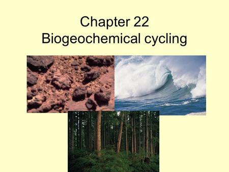 Chapter 22 Biogeochemical cycling