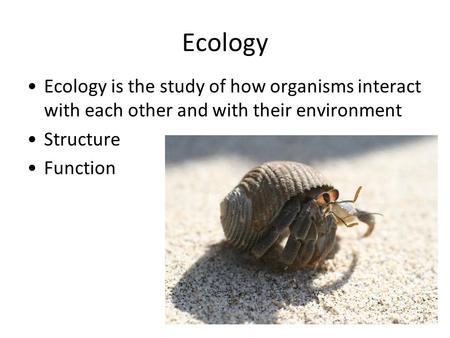 Ecology Ecology is the study of how organisms interact with each other and with their environment Structure Function Structure includes the distribution.