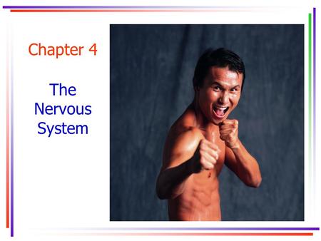 Chapter 4 The Nervous System. Key Concepts autonomic nervous systemautonomic nervous system axon central nervous systemcentral nervous system crossed.