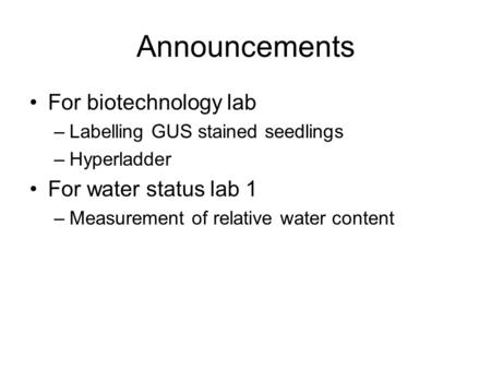 Announcements For biotechnology lab –Labelling GUS stained seedlings –Hyperladder For water status lab 1 –Measurement of relative water content.