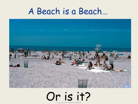 A Beach is a Beach… Or is it? www.wmich.edu/corekids.