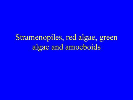 Stramenopiles, red algae, green algae and amoeboids