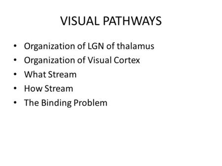 VISUAL PATHWAYS Organization of LGN of thalamus Organization of Visual Cortex What Stream How Stream The Binding Problem.