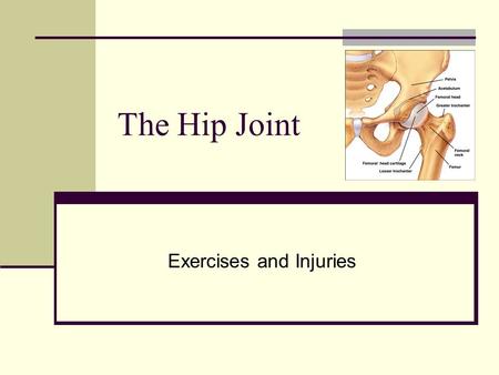 The Hip Joint Exercises and Injuries. Pelvis Abnormalities To appreciate the abnormalities that may occur, picture a box around the pelvis. The two most.