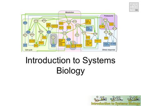 Introduction to Systems Biology. Overview of the day Background & Introduction Network analysis methods Case studies Exercises.