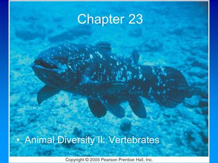 Copyright © 2005 Pearson Prentice Hall, Inc. Chapter 23 Animal Diversity II: Vertebrates.