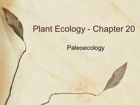 Plant Ecology - Chapter 20 Paleoecology. The study of historical ecology Changes in global patterns of vegetation, diversity Driven by ecological, evolutionary.