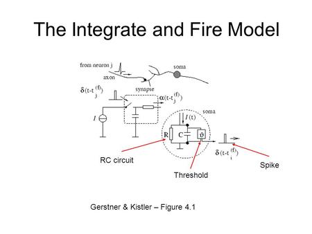 The Integrate and Fire Model Gerstner & Kistler – Figure 4.1 RC circuit Threshold Spike.