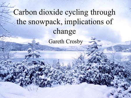 Carbon dioxide cycling through the snowpack, implications of change Gareth Crosby.