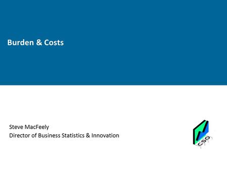 Burden & Costs Steve MacFeely Director of Business Statistics & Innovation.