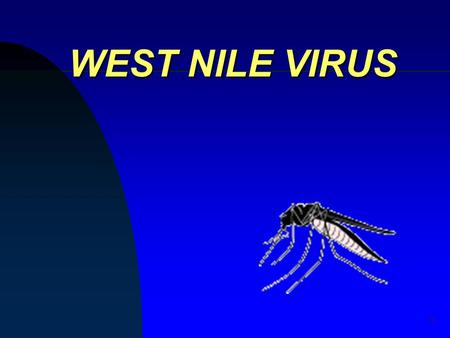 1 WEST NILE VIRUS. 2 West Nile Virus: Background l First isolated 1937 l Flavivirus l Africa, West Asia, Europe and the Middle East l 1999 US isolate.