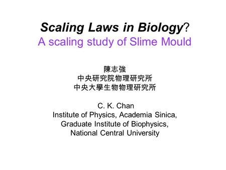 Scaling Laws in Biology? A scaling study of Slime Mould 陳志強 中央研究院物理研究所 中央大學生物物理研究所 C. K. Chan Institute of Physics, Academia Sinica, Graduate Institute.