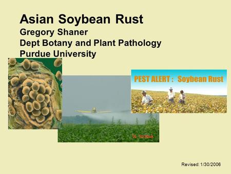 Asian Soybean Rust Gregory Shaner Dept Botany and Plant Pathology Purdue University Revised: 1/30/2006.