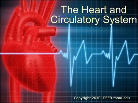 The Heart and Circulatory System Copyright 2010. PEER.tamu.edu.