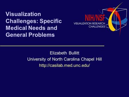 Visualization Challenges: Specific Medical Needs and General Problems Elizabeth Bullitt University of North Carolina Chapel Hill