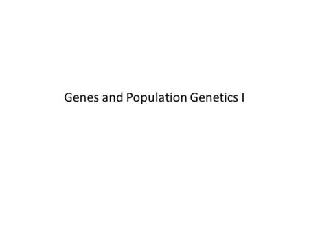 Genes and Population Genetics I. P  I1  I2  I3  EP 4 enzymes.