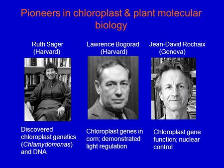 Pioneers in chloroplast & plant molecular biology Discovered chloroplast genetics (Chlamydomonas) and DNA Chloroplast genes in corn; demonstrated light.