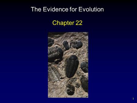 1 The Evidence for Evolution Chapter 22. 2 Darwin’s Finches.