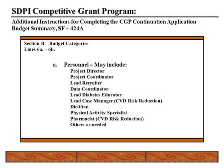 SDPI Competitive Grant Program SDPI Competitive Grant Program: Additional Instructions for Completing the CGP Continuation Application Budget Summary,