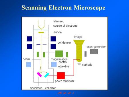 Scanning Electron Microscope د. عمر عبد القادر.