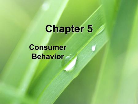Chapter 5 Consumer Behavior. 5-2 Chapter Objectives 1.Distinguish between customer behavior and consumer behavior. 2.Explain how marketers classify behavioral.