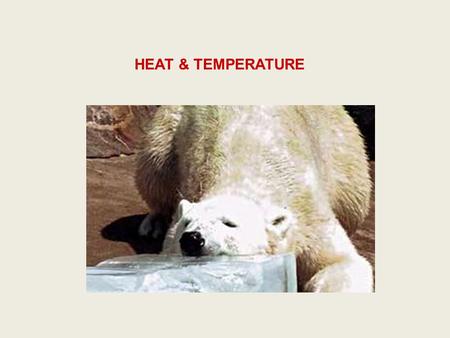 HEAT & TEMPERATURE. Temperature Scales Heat Transfer and Warming.