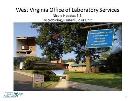 West Virginia Office of Laboratory Services Nicole Haddox, B.S. Microbiology- Tuberculosis Unit 1.