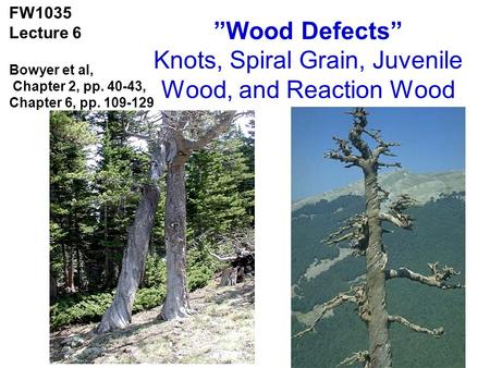 ”Wood Defects” Knots, Spiral Grain, Juvenile Wood, and Reaction Wood