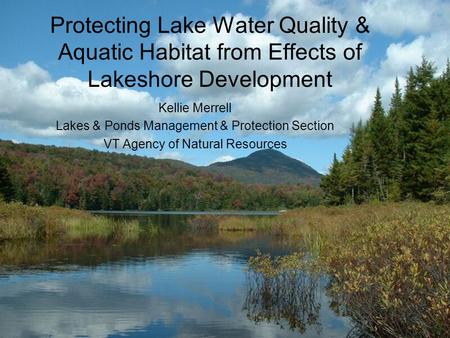 Protecting Lake Water Quality & Aquatic Habitat from Effects of Lakeshore Development Kellie Merrell Lakes & Ponds Management & Protection Section VT Agency.