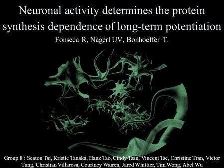 Neuronal activity determines the protein synthesis dependence of long-term potentiation Fonseca R, Nagerl UV, Bonhoeffer T. Group 8 : Seaton Tai, Kristie.