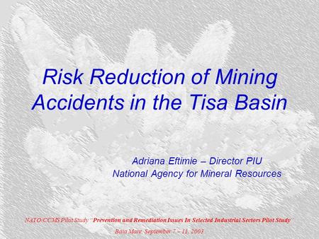 Risk Reduction of Mining Accidents in the Tisa Basin Adriana Eftimie – Director PIU National Agency for Mineral Resources NATO/CCMS Pilot Study “Prevention.
