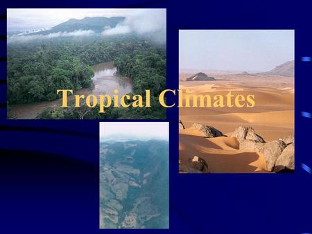 Tropical Climates. Tropical Horticulture - Texas A&M University Koeppen’s Climate Classification.