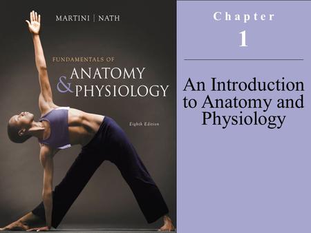 Copyright © 2009 Pearson Education, Inc., publishing as Pearson Benjamin Cummings C h a p t e r 1 An Introduction to Anatomy and Physiology.