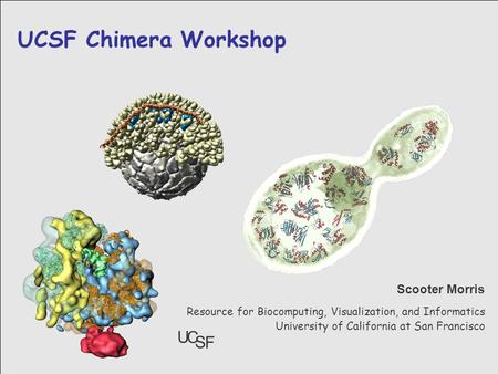 3/18/2005 UCSF Chimera Workshop Resource for Biocomputing, Visualization, and Informatics University of California at San Francisco Scooter Morris U C.