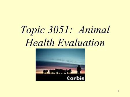 1 Topic 3051: Animal Health Evaluation. 2 I. The Owner A. Is the most vital link to continued and progressive health of their animals and also can interpret.