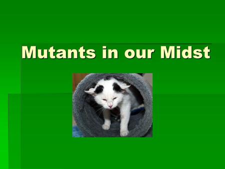 Mutants in our Midst. The Body  Look around you! Every animal has certain anatomical similarities.  Among species, the arms and legs attach and move.