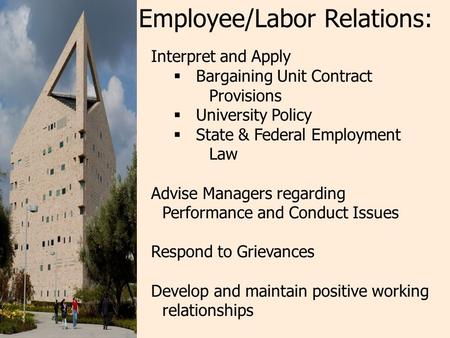 Interpret and Apply  Bargaining Unit Contract Provisions  University Policy  State & Federal Employment Law Advise Managers regarding Performance and.