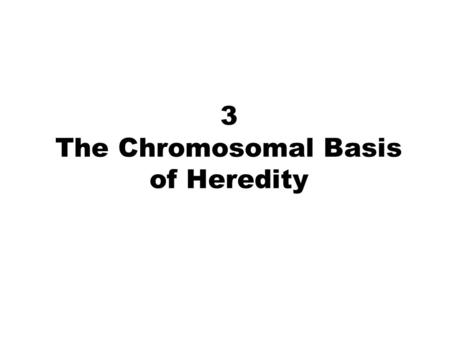 3 The Chromosomal Basis of Heredity. 2 3 Chromosome Structure Eukaryotic chromosome contains a single DNA molecule of enormous length in a highly coiled.