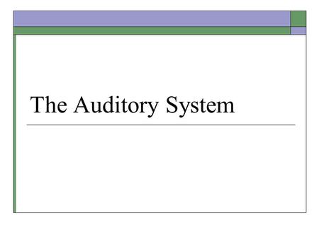 The Auditory System. Audition (Hearing)  Transduction of physical sound waves into brain activity via the ear. Sound is perceptual and subjective. 