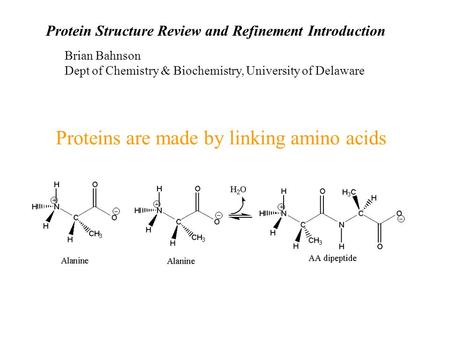 Proteins are made by linking amino acids Protein Structure Review and Refinement Introduction Brian Bahnson Dept of Chemistry & Biochemistry, University.