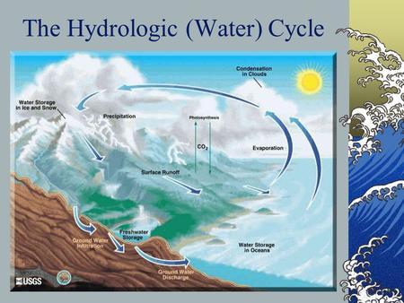 The Hydrologic (Water) Cycle. Surface Water Oceans Rivers and streams Lakes and ponds Springs – groundwater becomes surface water.