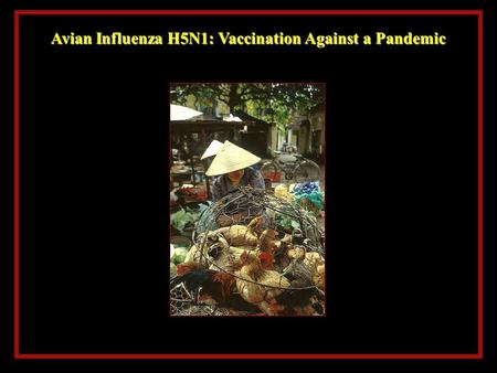 Avian Influenza H5N1: Vaccination Against a Pandemic.