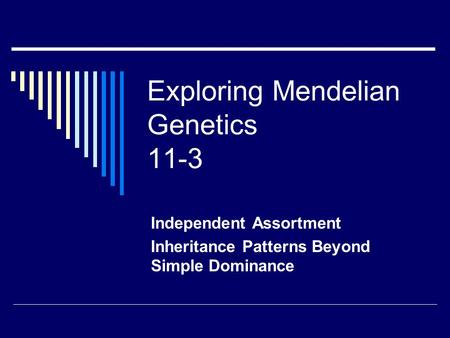Exploring Mendelian Genetics 11-3 Independent Assortment Inheritance Patterns Beyond Simple Dominance.