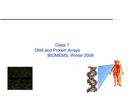 Class 7 DNA and Protein Arrays BIOMEMS, Winter 2009.