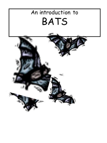 An introduction to BATS.