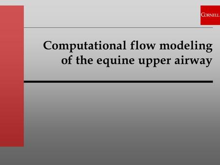 Computational flow modeling of the equine upper airway