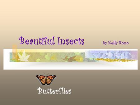 Beautiful Insects by Kelly Bono Butterflies Students will create posters depicting and describing the four stages of the complete metamorphosis of butterflies.