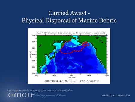 Carried Away! - Physical Dispersal of Marine Debris.